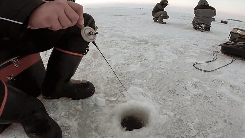 Ловля окуня на чертика зимой: выбор, техника проводки, снасть под безмотылку