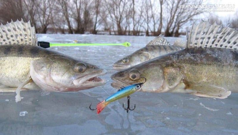 Как сделать балансир своими руками для зимней рыбалки