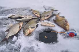 Wintervissen in de regio Moskou - het seizoen 2023 is geopend