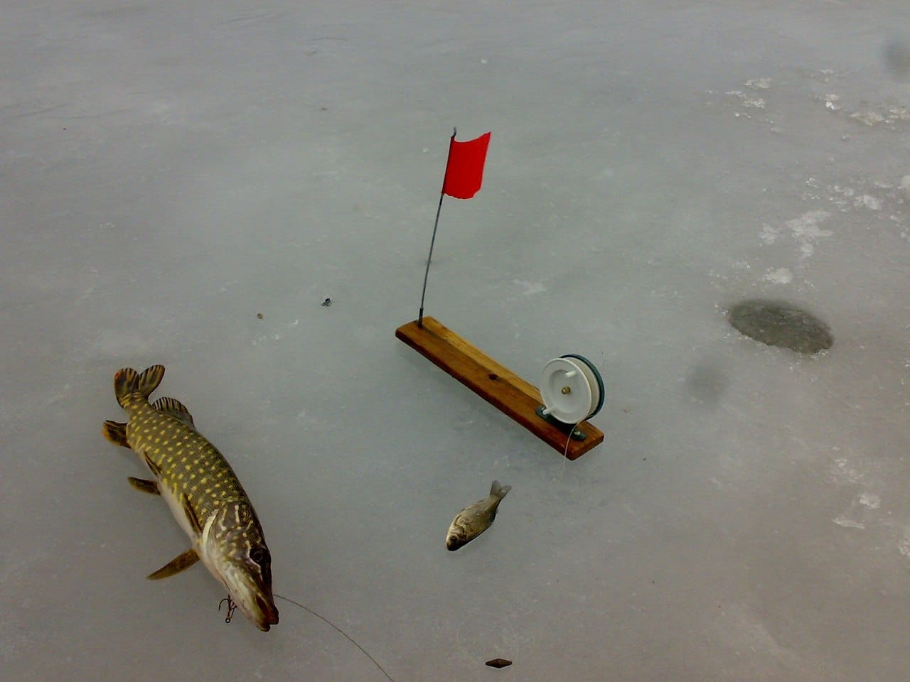 Рыбалка зимой на течении - тактика поиска на реке, снасти, подача