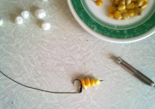 На что ловят сазана в маи