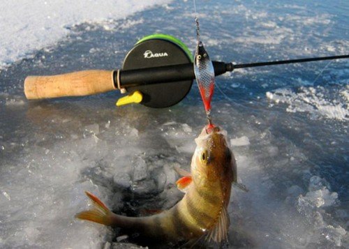 Выбор удочки для зимней рыбалки, лучшие удильники для подледного лова