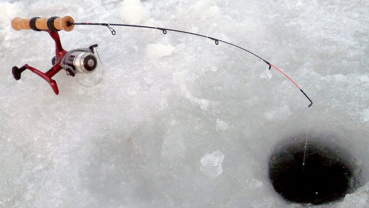 Зимний фидер со льда: секреты оснастки и техника ловли
