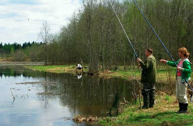 Когда можно начинать ловить рыбу весной и на что можно рыбачить