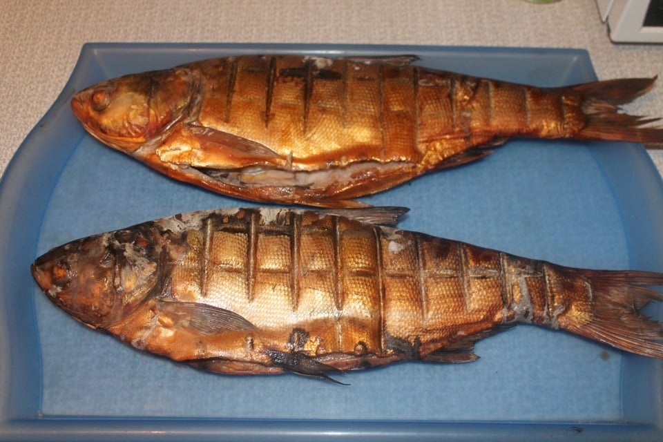 सिल्वर कार्प मछली किस प्रकार की होती है, कैसे पकड़ी जाती है और स्वादिष्ट मछली कैसे बनाई जाती है
