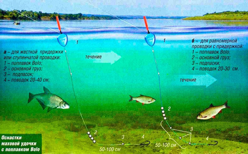 Fiskeri efter mort med en svømmerstang: typer udstyr, søgning og fisketaktik