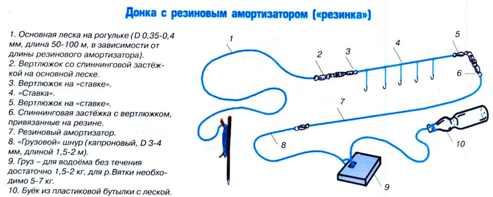 Сазан осенью чем ловить