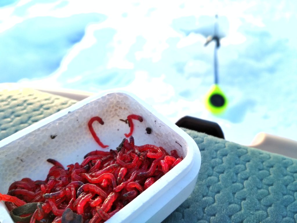 Ловля леща на комбайн зимой: оснастка и монтаж, особенности рыбалки на спускник