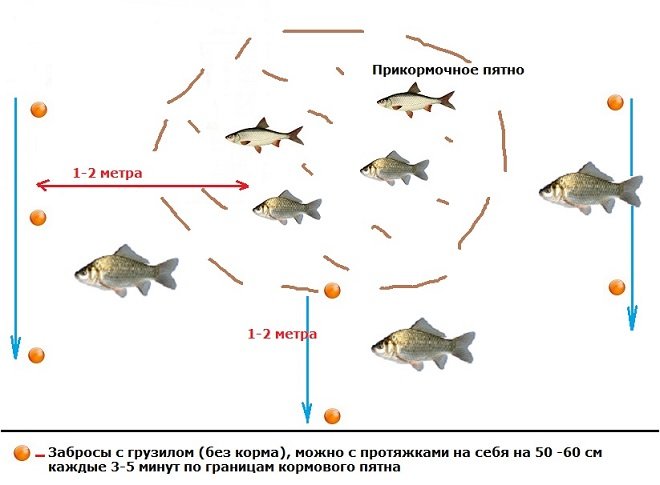Pesca efectiva e efectiva da carpa cruciana: pesca na primavera, verán e outono