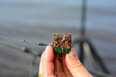 The best bait for fish in spring, summer, autumn and winter