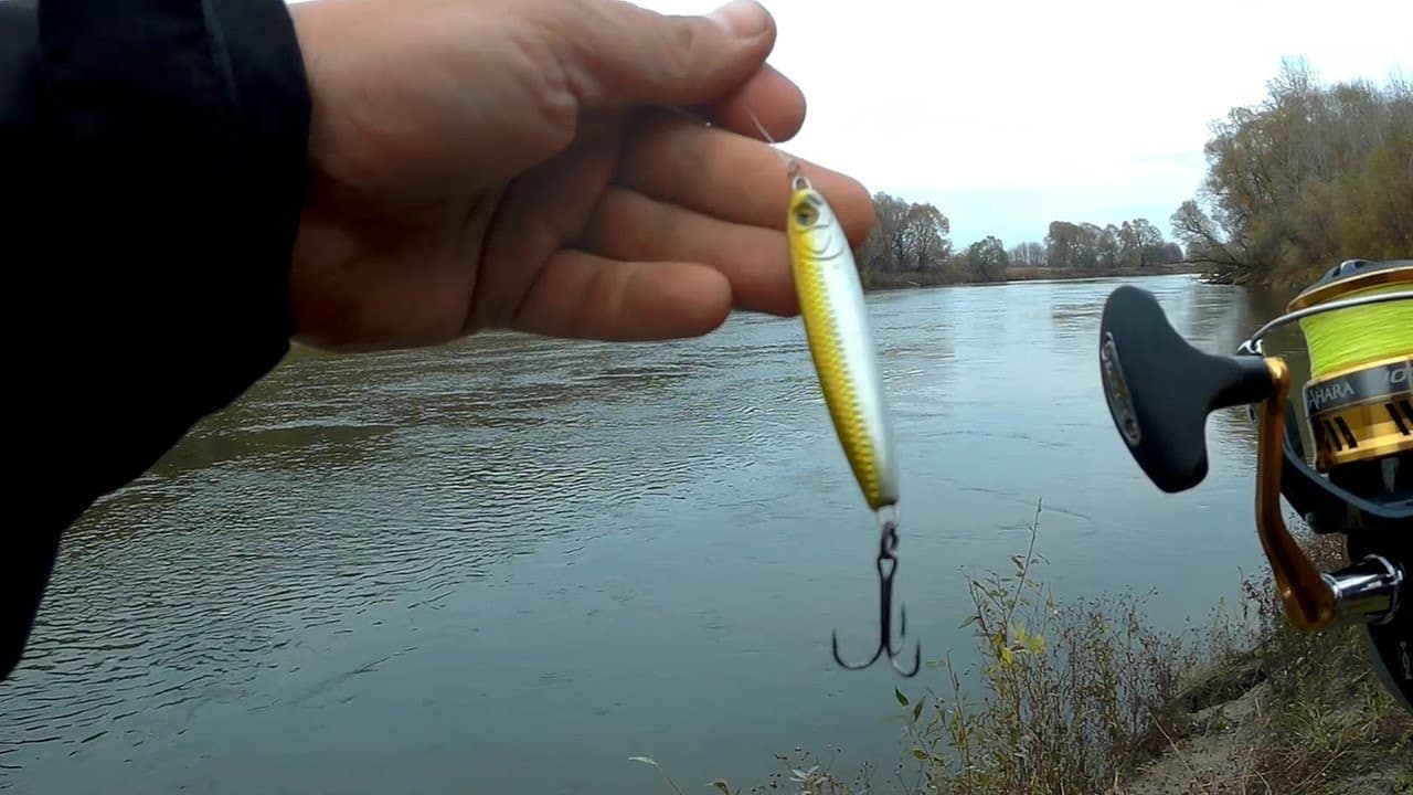 Catching asp on a spinning rod in the spring of March, April and May