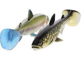Welk kunstaas om te kiezen voor het vissen op snoek, afhankelijk van het seizoen?