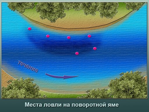 Сазан осенью чем ловить