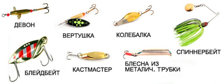 Ce momeli de ales pentru pescuitul știucii, în funcție de sezon