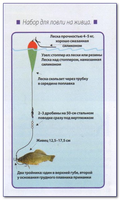 Как правильно оснащать поплавочную удочку для рыбалки на карася, линя и другую рыбу