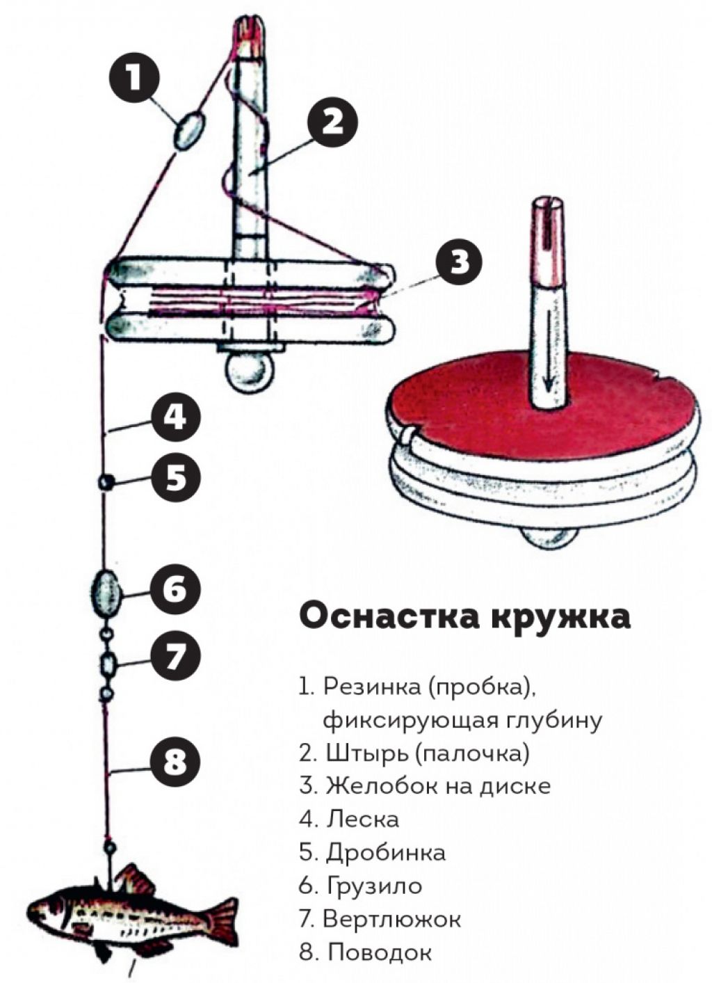 Ловля щуки на живца осенью с берега и лодки: поплавок, донка, кружки