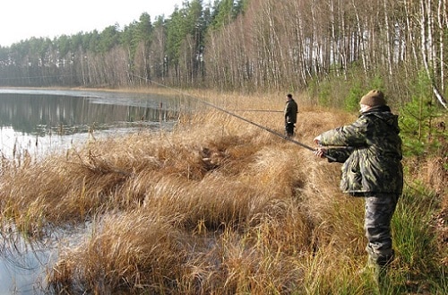Рыбалка осенью: какая рыба клюет, когда, где и на что