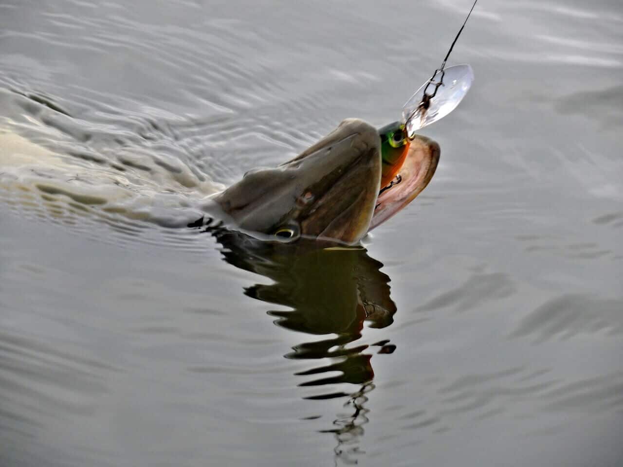 Рыбалка в ноябре на щуку на спиннинг: где искать, когда клюет, приманки