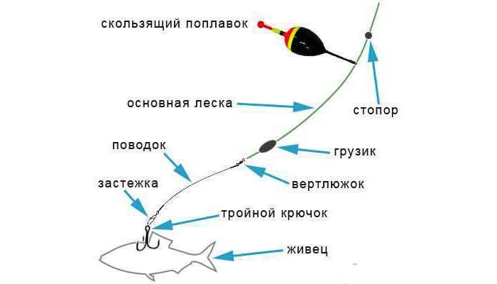 Kalastus Omskissa ja Omskin alueella: kartta kalastuspaikoista, tuoreita videoraportteja
