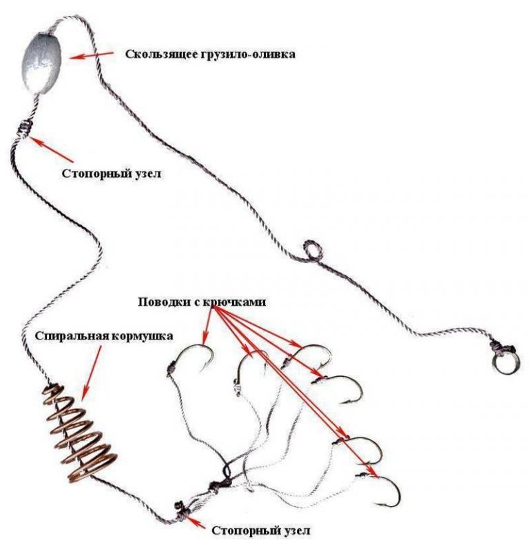 Схема донной снасти