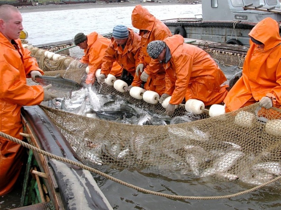 Осенний запрет на рыбалку в 2023 году - календарь и законодательство