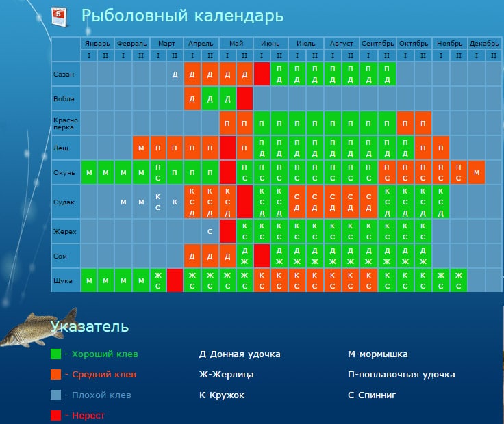 Рыбалка в Астрахани и Астраханской области в зависимости от сезона
