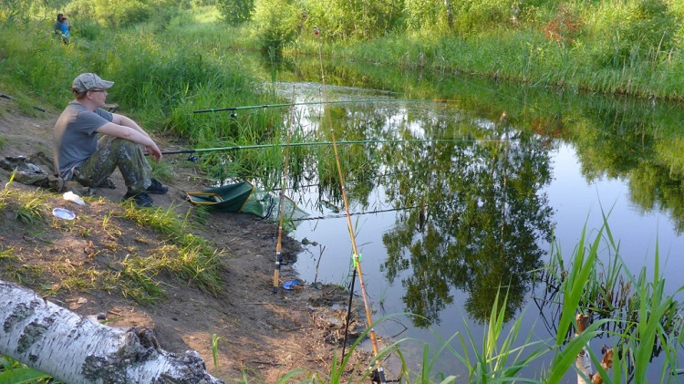 Kalastus Omskissa ja Omskin alueella: kartta kalastuspaikoista, tuoreita videoraportteja