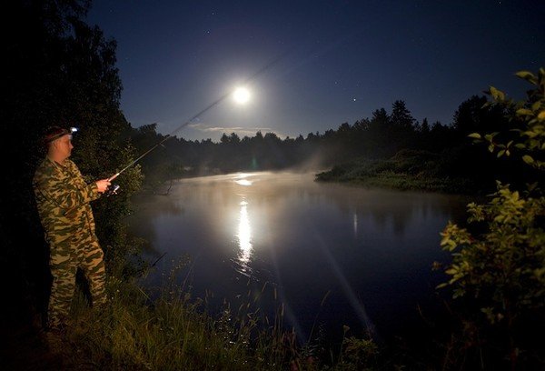 Ночная рыбалка осенью - судак, лещ, налим и другие