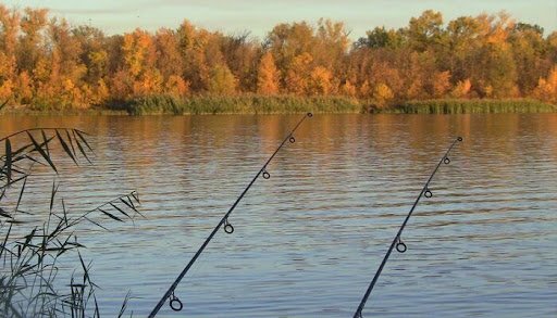 Осенняя рыбалка на реке - ловля на фидер, штекер, спиннинг, поплавок