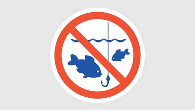 Осенний запрет на рыбалку в 2023 году - календарь и законодательство