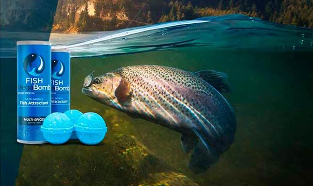 Cebo innovador para pescar Fish Megabomb: que é realmente?