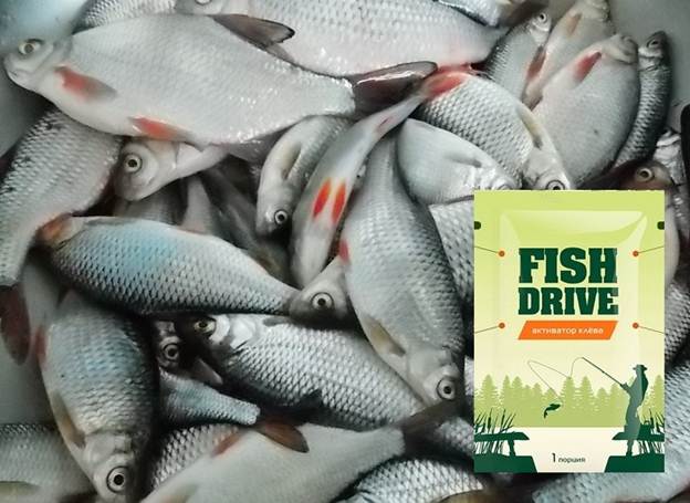 Fish Drive bideaktivator anmeldelse: sammensætning, pris, anmeldelser