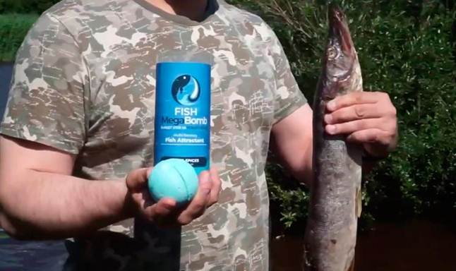 Широковское водохранилище: рыбалка, где находится, карта для рыболовов