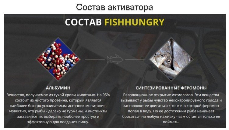 FishHungry 무는 활성제 리뷰 : 구성, 지침, 가격