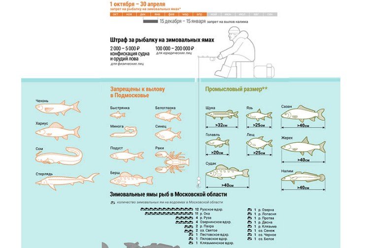 Рыбалка в Подмосковье дикарем и с проживанием - отчеты 2023 года