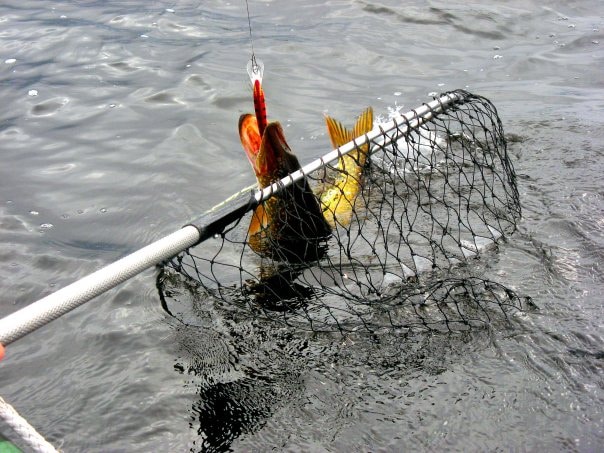 Лучшие места для рыбалки в Карелии 2023 дикарем - практический опыт с фото и советами