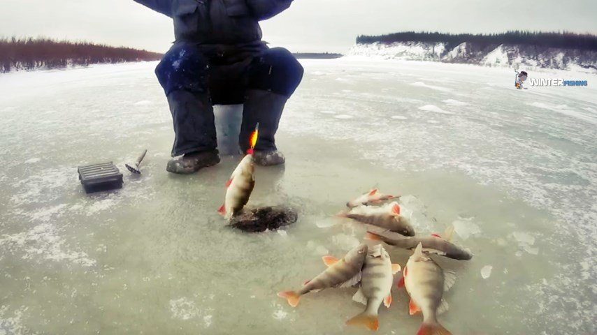Зимняя рыбалка в Якутии - сезон 2021-2022 годов открыт