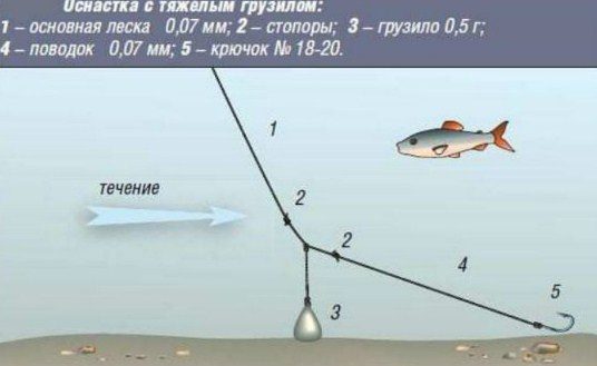 Снасти для морской рыбалки в крыму - В чем разница, плюсы и минусы