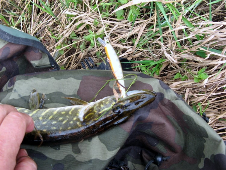 Летняя и зимняя рыбалка в Новгородской области