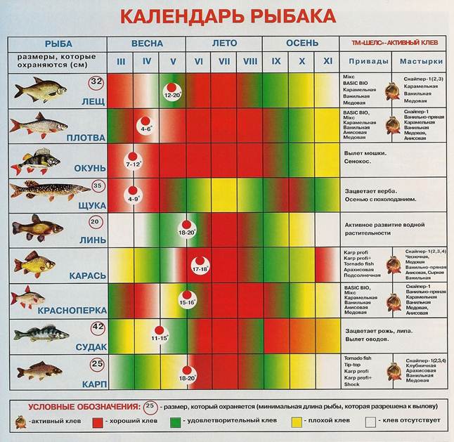 Рыбалка в Челябинской области и в окрестностях Челябинска - сезон 2023