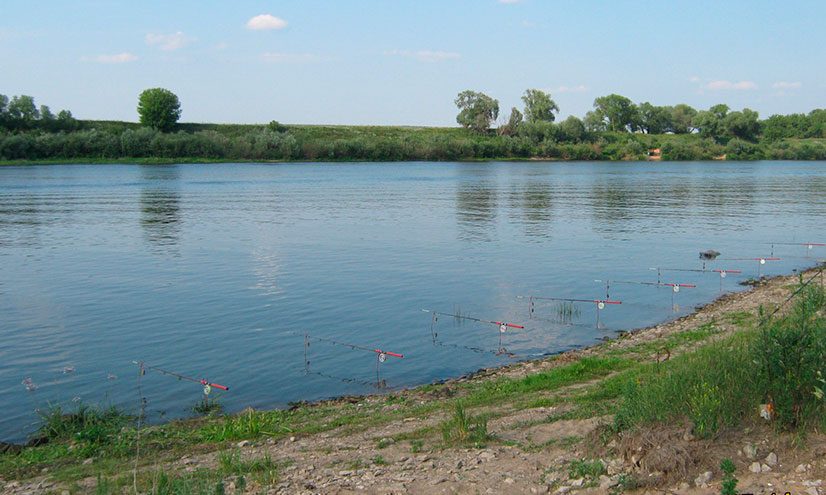 Лучшие места для рыбалки в России: топовые локации для рыбаков