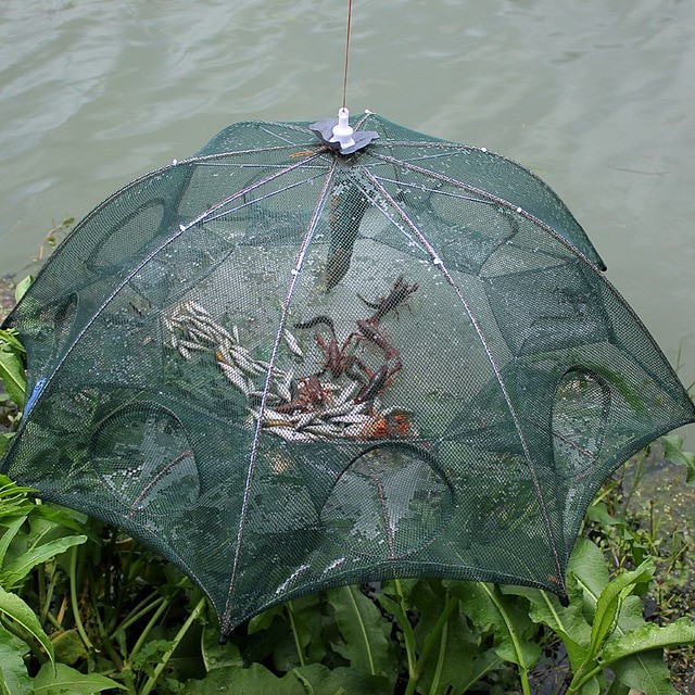 Усовершенствованная рыболовная верша – паук: объективный обзор
