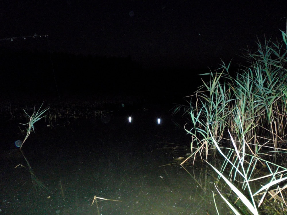 Как выбрать светлячки для ночной рыбалки - покупные и самодельные