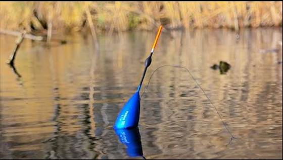 Com equipar correctament una canya flotant per a la pesca de carpes, tenques i altres peixos