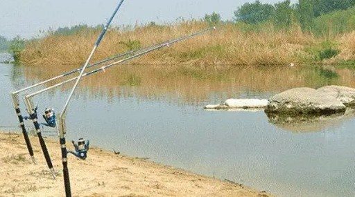 Canne à pêche auto-accrochante : aperçu des offres et avis