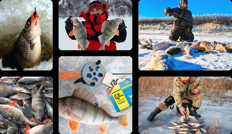 Updated biting activator Dry blooder for ice fishing - new 2023