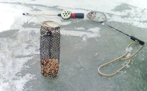 Самодельные кормушки для рыбалки летней и зимней: чертежи и фото